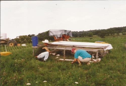 pastured poultry_kmp1999